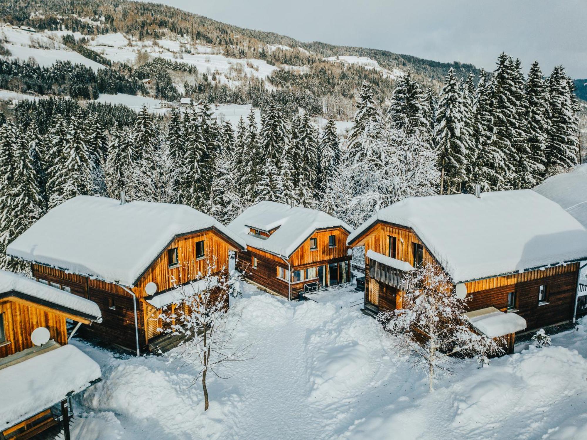 Villa Woody Park à Sankt Georgen ob Murau Extérieur photo