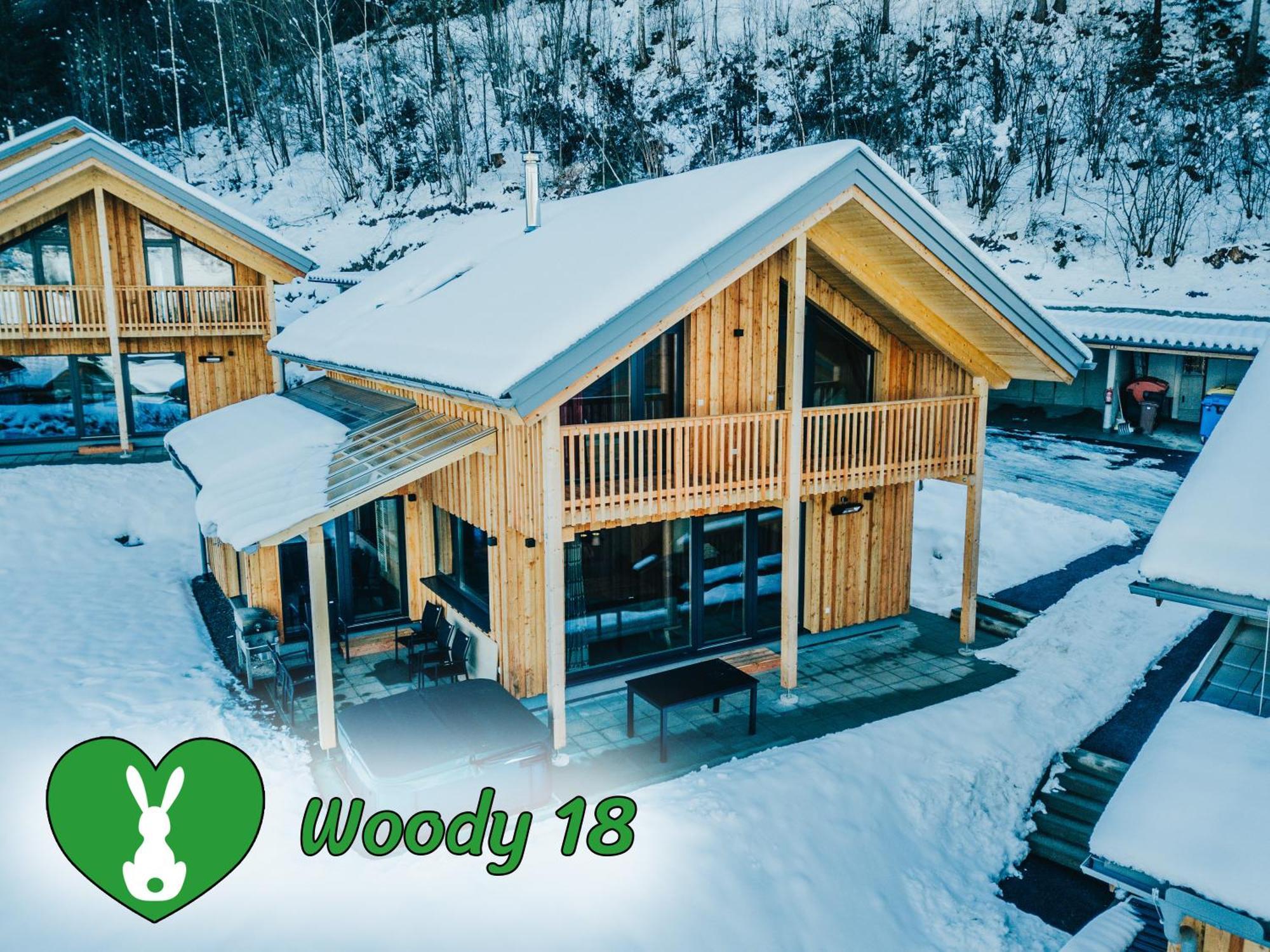 Villa Woody Park à Sankt Georgen ob Murau Extérieur photo