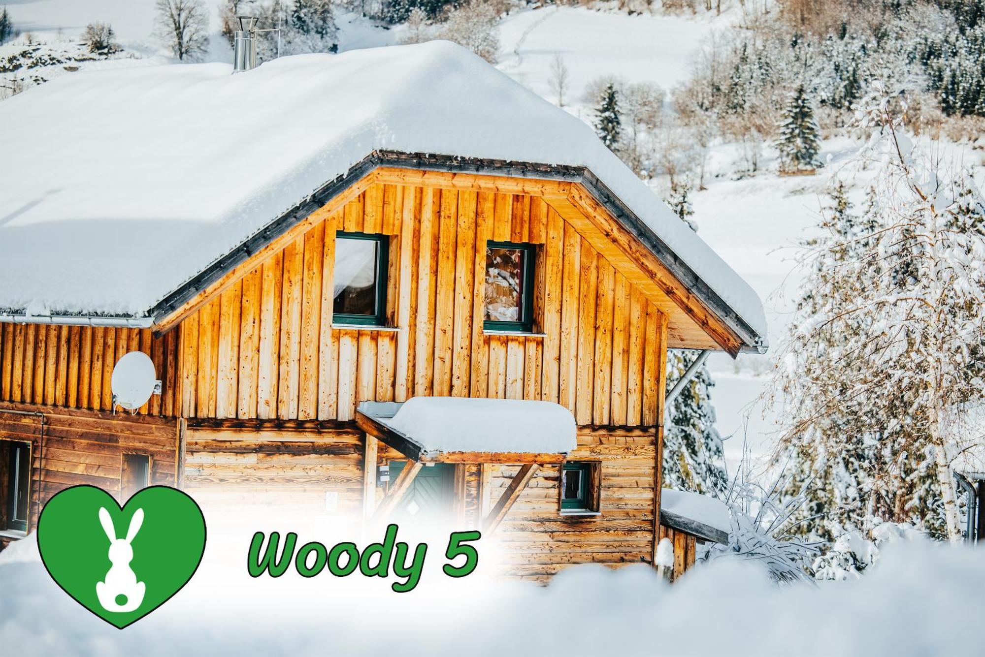 Villa Woody Park à Sankt Georgen ob Murau Extérieur photo