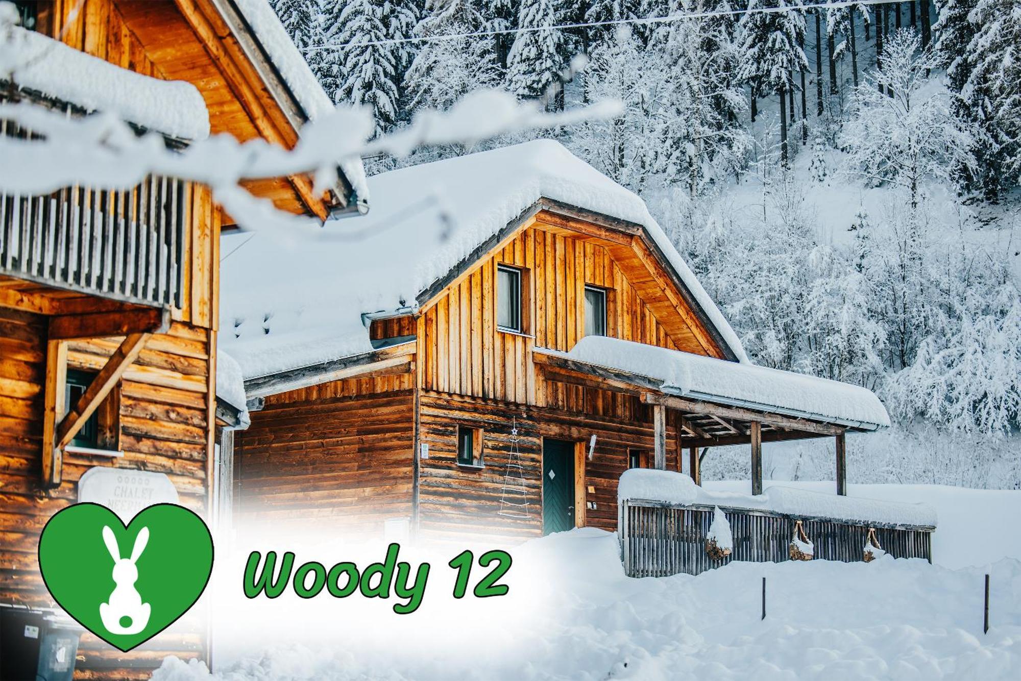 Villa Woody Park à Sankt Georgen ob Murau Extérieur photo